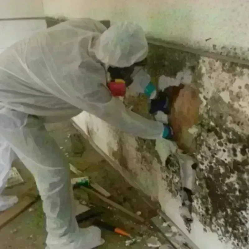 Mold Remediation and Removal in Farmington, NH